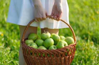 Sağlıklı yeme elma Bahçe