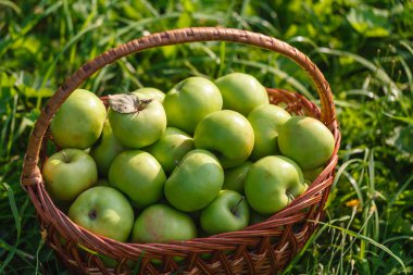 sepet elma çim ile