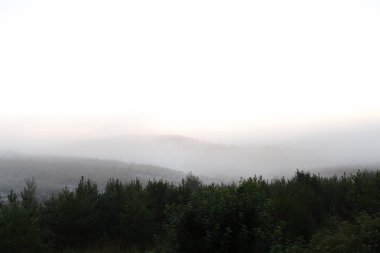 büyülü sabah sis yeşillik güzel kırsal manzara peyzaj üzerinde