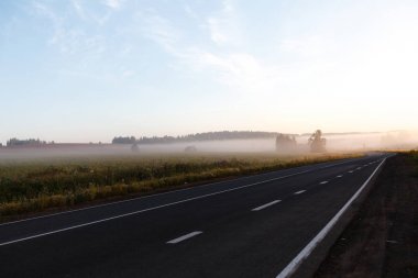 yol işaretleri ve düşük görünürlük ile yeşil alanlarla puslu yol