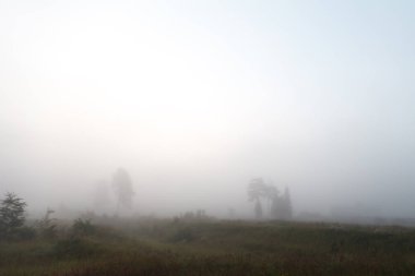 büyülü sabah sis yeşillik güzel kırsal manzara peyzaj üzerinde