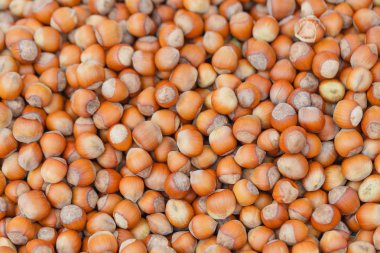 Arka plan fındık, ceviz, fındık bir sürü