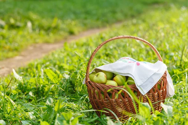 Las manzanas en la cesta sobre el fondo de la hierba verde — Foto de Stock
