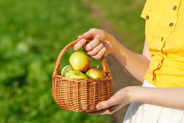 당신의 정원에서 사과 먹고 건강 — 스톡 사진