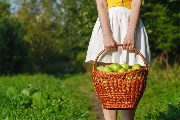 Büyük sepet elma tutan kız