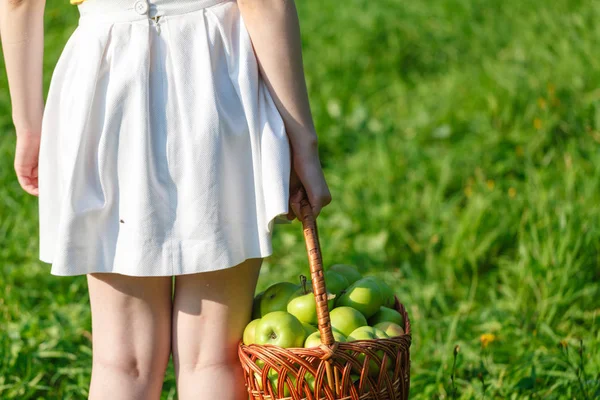 Sepette Sağlıklı Organik Elmalar.