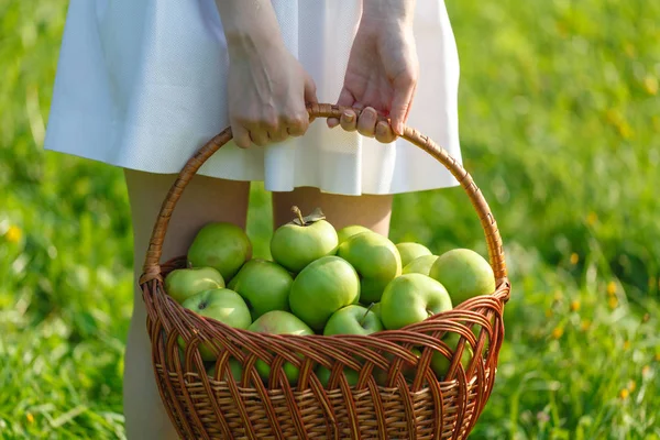 Sağlıklı yeme elma Bahçe