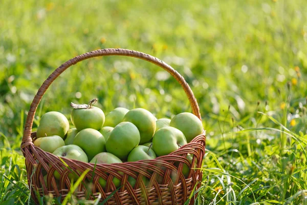 Çim zemin üzerine yeşil elma ile hasır sepet