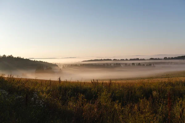 Chão com névoa matinal — Fotografia de Stock