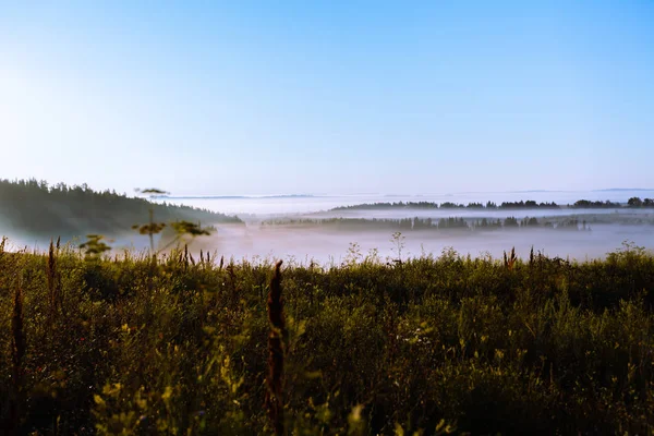 Mayıs güneş ve sis alanında