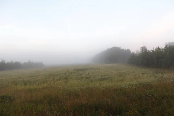 Nevoeiro da manhã em um novo campo colhido — Fotografia de Stock