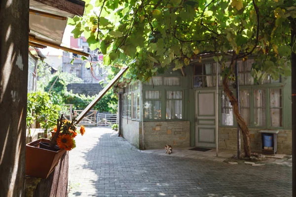 Typical old Georgian yard in Tbilisi city. Georgia — Stock Photo, Image