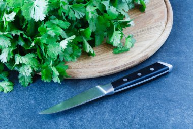 Organik maydanoz portre sağlıklı rustik ahşap tablo 