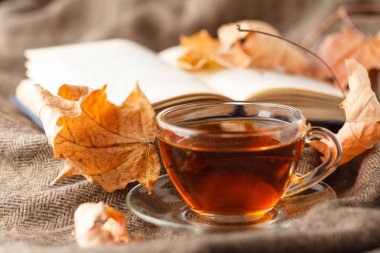 Fincan çay ve sıcak ekose battaniye ahşap rustik bankta