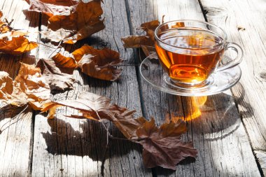 Sıcak çay Kupası parlak güneş ışığında