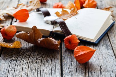 Kavram sonbahar eğitim başlatmak lisede