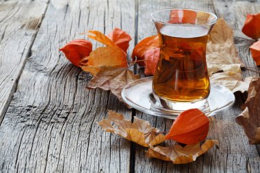 Kavram sonbahar eğitim başlatmak lisede