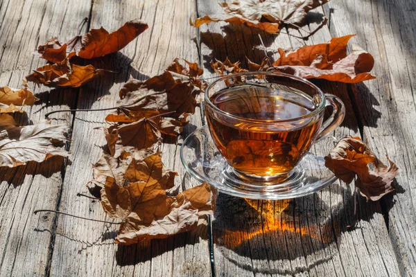 Parlak güneş ışığı altında çay bardak