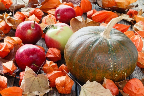 Kabak sonbahar yaprak üzerinde yatıyordu. Hasat ve Şükran günü kavramı