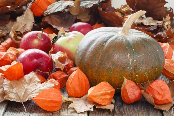 木製テーブルの上の秋の収穫 — ストック写真