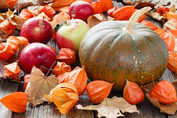 Kabak sonbahar yaprak üzerinde yatıyordu. Hasat ve Şükran günü kavramı