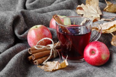 İçinde rahat ekose sonbahar günü sıcak alkollü içki mulled şarap ile