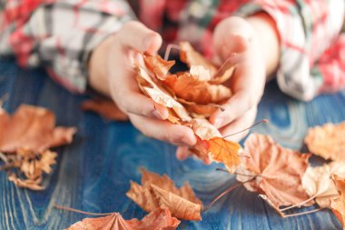 Erkek el ile oynarken yaprakları kuru 