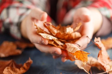 Ellerinde sonbahar yaprak yığını