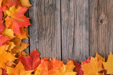 Sıcak ekose kitap ve sütlü sıcak çay ile akşam düşmek