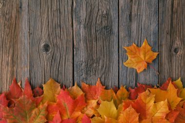Sıcak ekose kitap ve sütlü sıcak çay ile akşam düşmek