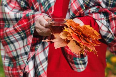 Malpe yaprakları sonbaharda parkta elinde