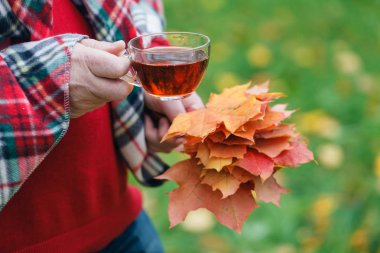 Piknik içecek sıcak çay ormandaki adam
