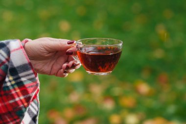 Erkek bir çay sonbahar parkta tutar.