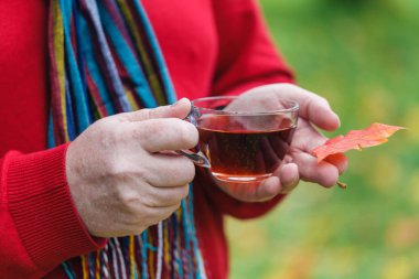 Piknik içecek sıcak çay ormandaki adam