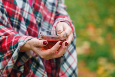 Erkek bir çay sonbahar parkta tutar.