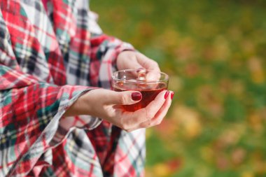 İçecek sıcak çay ve sonbahar ormanda açık yürüyüş