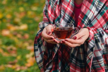 İçecek sıcak çay ve sonbahar ormanda açık yürüyüş
