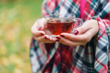 Erkek rahat battaniyeye yürüyüş parkı düşmek
