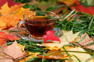 Park yeşillik üzerinde sıcak aromatik bitkisel çay