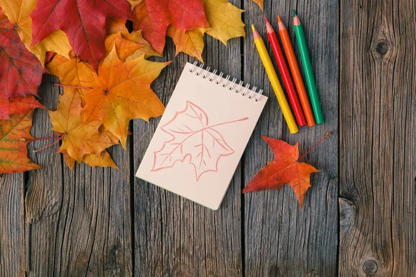 Kalemler ve akçaağaç l ile sonbahar yaratıcı sanat resim backgrounf