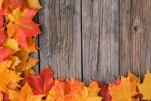 Sıcak ekose kitap ve sütlü sıcak çay ile akşam düşmek