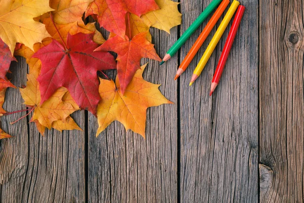 Kalemler ve akçaağaç l ile sonbahar yaratıcı sanat resim backgrounf