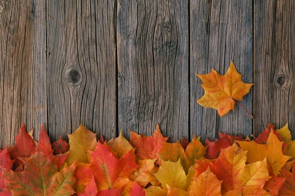 Sıcak ekose kitap ve sütlü sıcak çay ile akşam düşmek