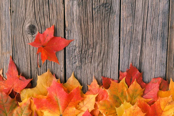 Sıcak ekose kitap ve sütlü sıcak çay ile akşam düşmek