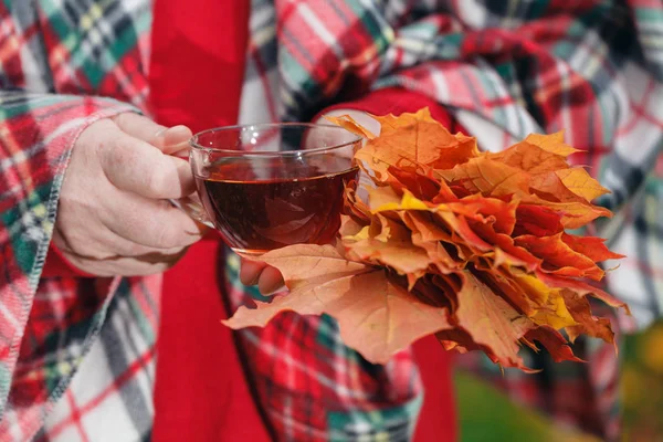 Çay ile parkta sonbahar yürüyüş