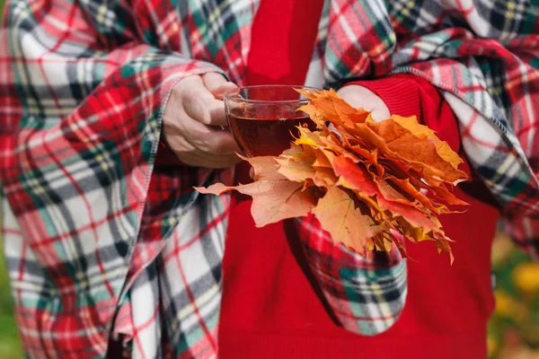 Malpe yaprakları sonbaharda parkta elinde