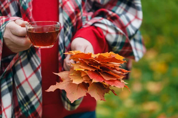 Ormanda elinde sonbahar kırmızı akçaağaç yaprakları