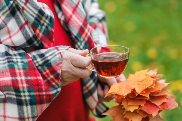 Adam akçaağaç yaprakları ile sonbahar Parkta yürümek çay fincan