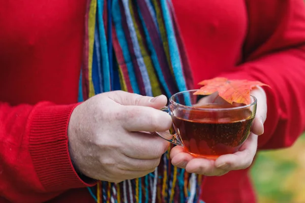 Piknik içecek sıcak çay ormandaki adam