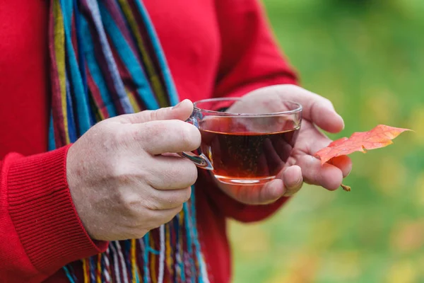 Piknik içecek sıcak çay ormandaki adam